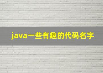 java一些有趣的代码名字