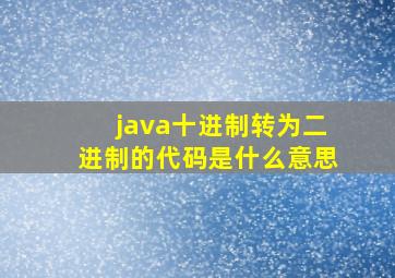 java十进制转为二进制的代码是什么意思