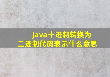 java十进制转换为二进制代码表示什么意思