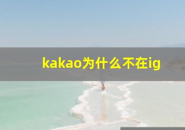 kakao为什么不在ig