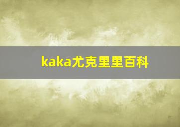 kaka尤克里里百科