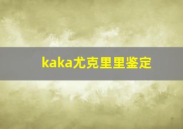 kaka尤克里里鉴定