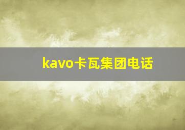 kavo卡瓦集团电话