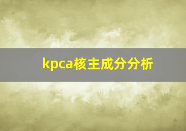 kpca核主成分分析