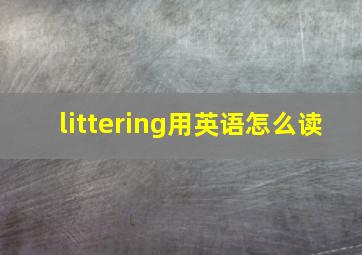 littering用英语怎么读