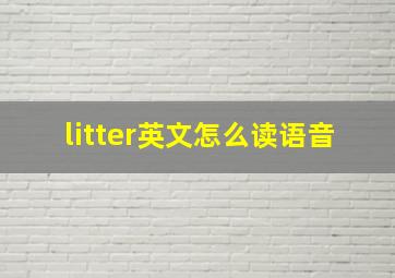 litter英文怎么读语音