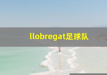 llobregat足球队