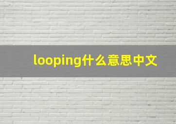 looping什么意思中文