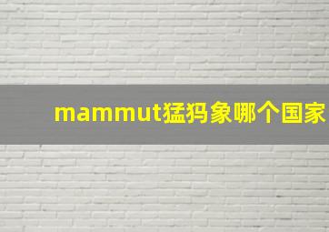 mammut猛犸象哪个国家