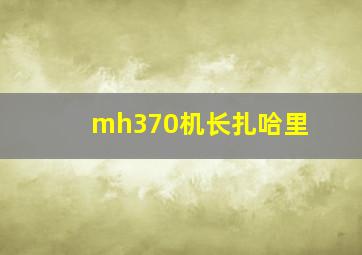 mh370机长扎哈里