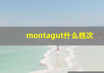 montagut什么档次