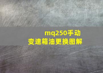 mq250手动变速箱油更换图解