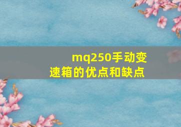 mq250手动变速箱的优点和缺点