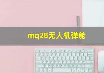 mq28无人机弹舱