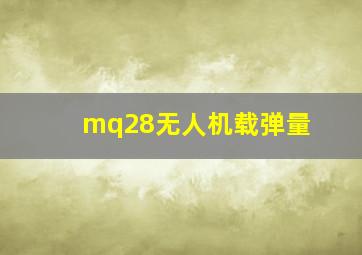 mq28无人机载弹量