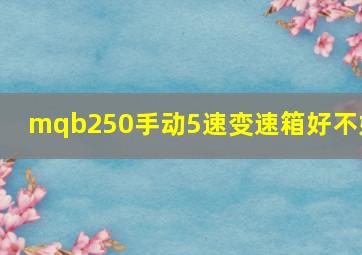 mqb250手动5速变速箱好不好