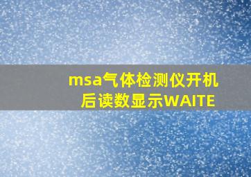 msa气体检测仪开机后读数显示WAITE