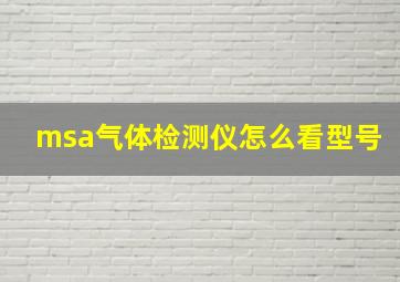 msa气体检测仪怎么看型号