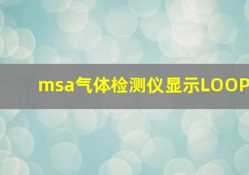 msa气体检测仪显示LOOP