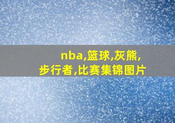 nba,篮球,灰熊,步行者,比赛集锦图片