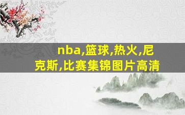 nba,篮球,热火,尼克斯,比赛集锦图片高清