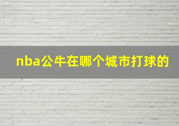 nba公牛在哪个城市打球的