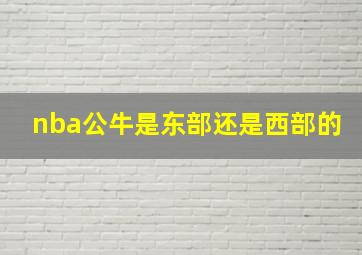 nba公牛是东部还是西部的