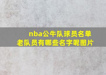 nba公牛队球员名单老队员有哪些名字呢图片