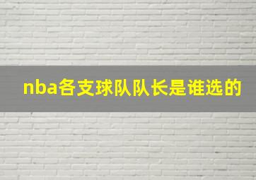 nba各支球队队长是谁选的