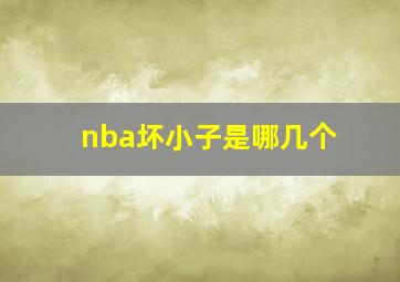 nba坏小子是哪几个