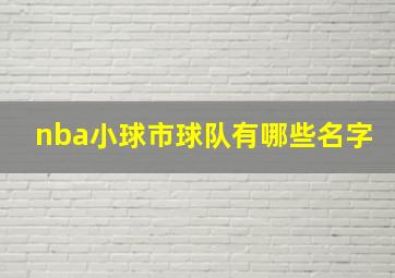 nba小球市球队有哪些名字