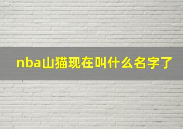 nba山猫现在叫什么名字了