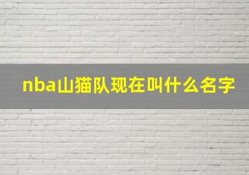 nba山猫队现在叫什么名字