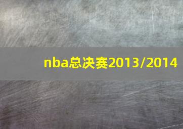 nba总决赛2013/2014