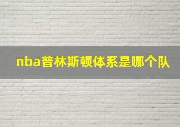 nba普林斯顿体系是哪个队