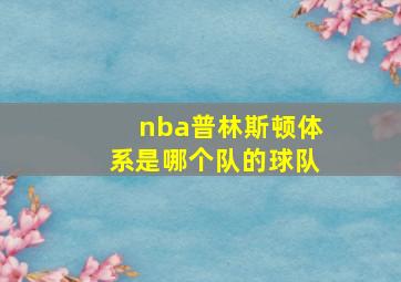 nba普林斯顿体系是哪个队的球队