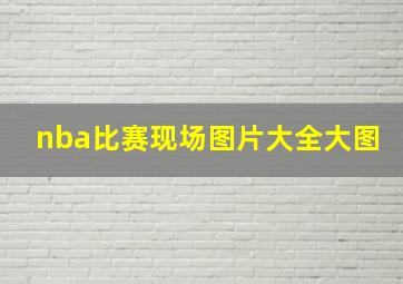 nba比赛现场图片大全大图