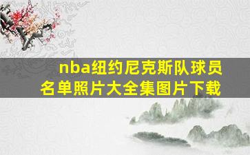 nba纽约尼克斯队球员名单照片大全集图片下载