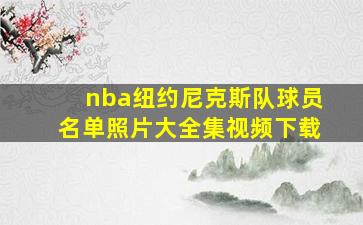 nba纽约尼克斯队球员名单照片大全集视频下载