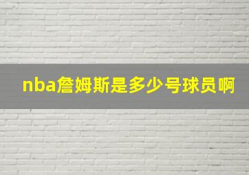 nba詹姆斯是多少号球员啊