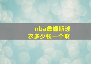 nba詹姆斯球衣多少钱一个啊