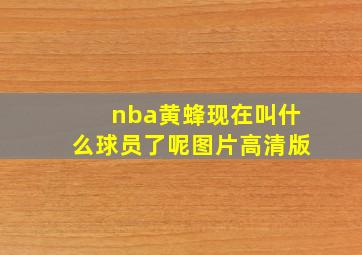 nba黄蜂现在叫什么球员了呢图片高清版