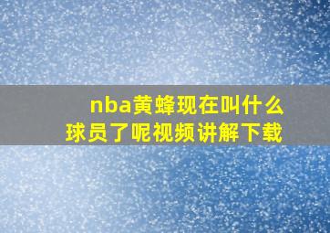 nba黄蜂现在叫什么球员了呢视频讲解下载