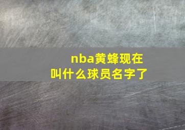 nba黄蜂现在叫什么球员名字了