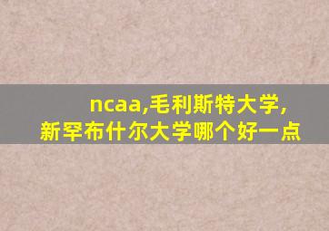 ncaa,毛利斯特大学,新罕布什尔大学哪个好一点