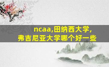 ncaa,田纳西大学,弗吉尼亚大学哪个好一些