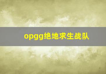 opgg绝地求生战队