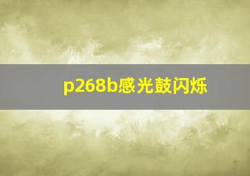 p268b感光鼓闪烁