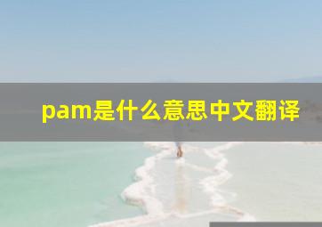 pam是什么意思中文翻译