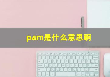 pam是什么意思啊